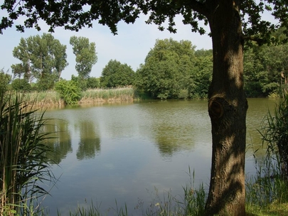 Stocklenweiher Geislingen