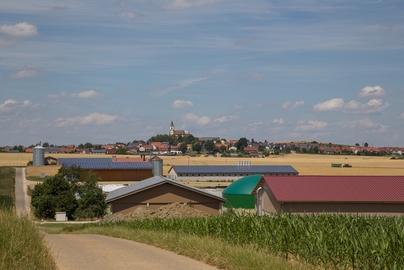 Aussiedlungsbetriebe in Zipplingen